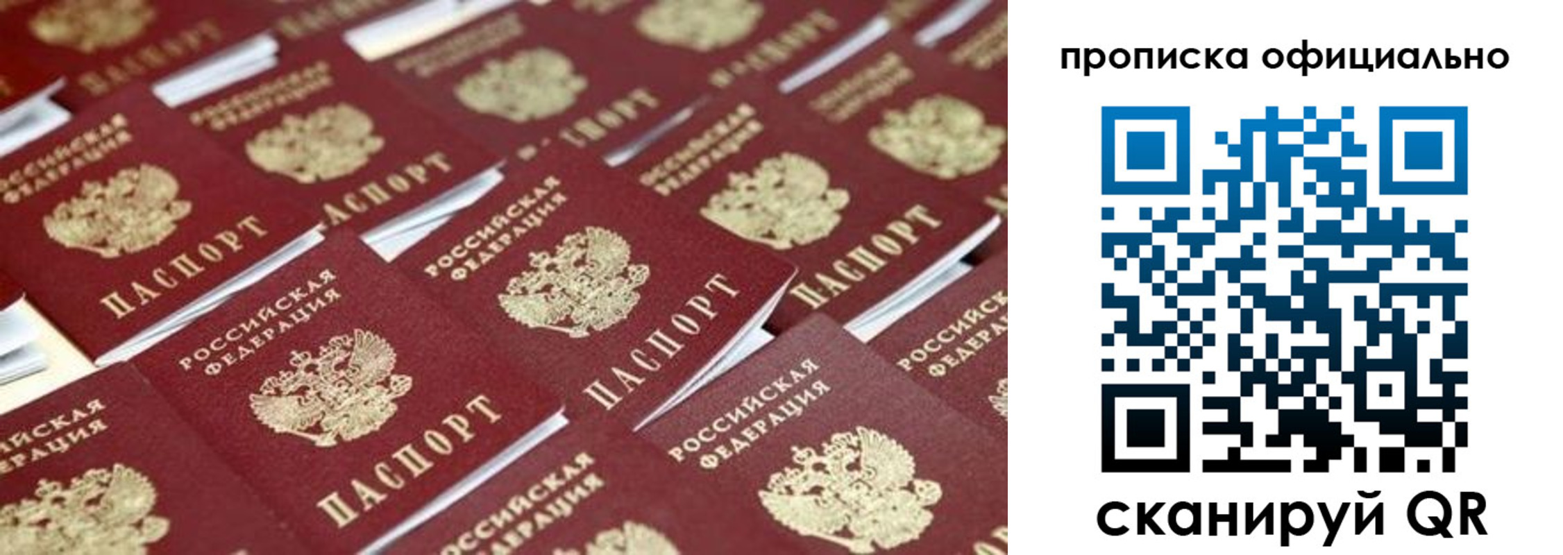 прописка гарантия в Йошкар-Оле